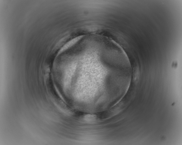 X0000113570279200910091446