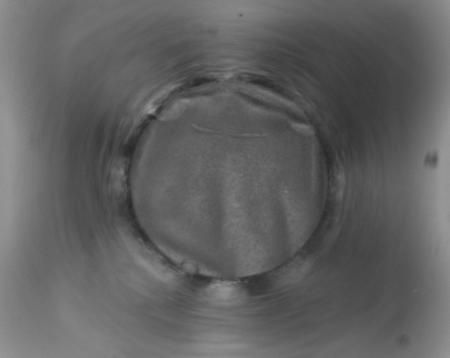 X0000113570280200910091446