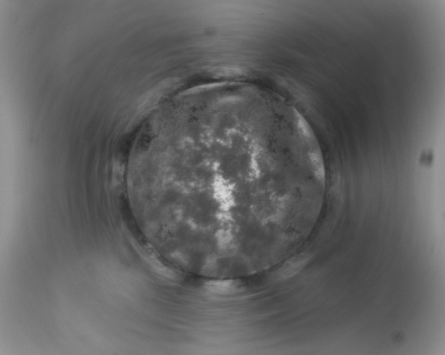 X0000113570281200910091446