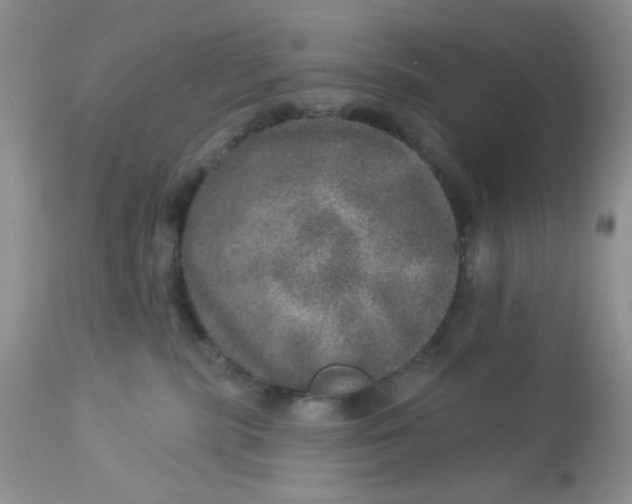 X0000113570283200910091446