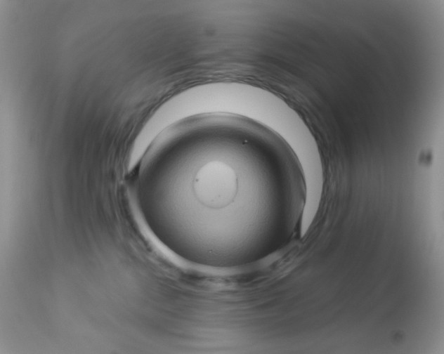 X0000113570284200910091446