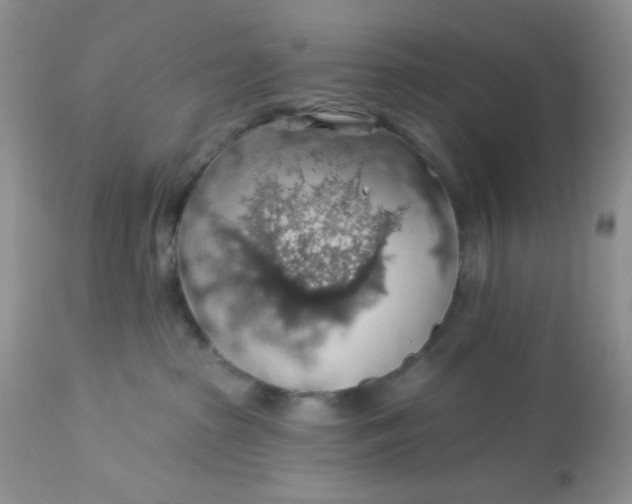 X0000113570285200910091446