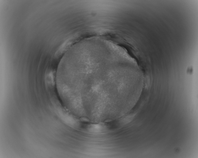 X0000113570286200910091446