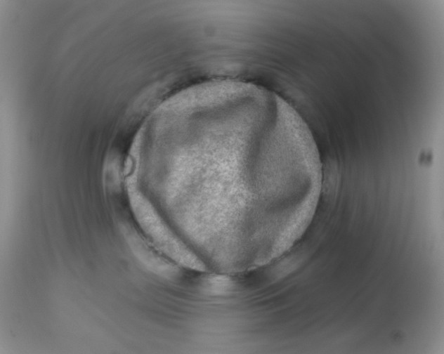 X0000113570287200910091446