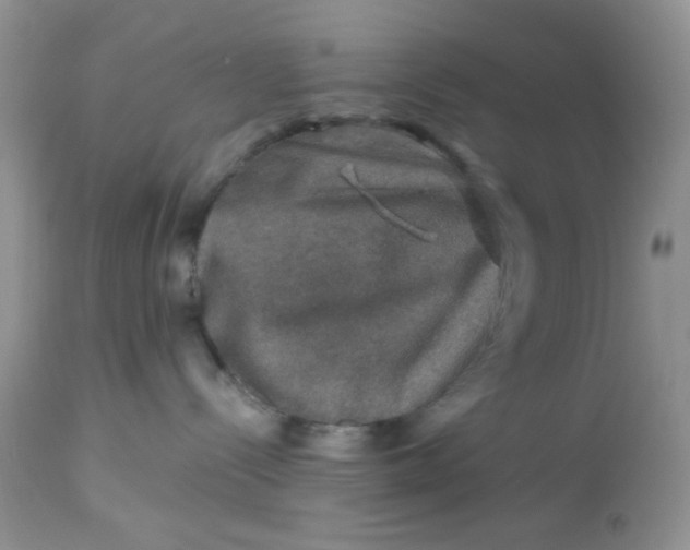 X0000113570288200910091446