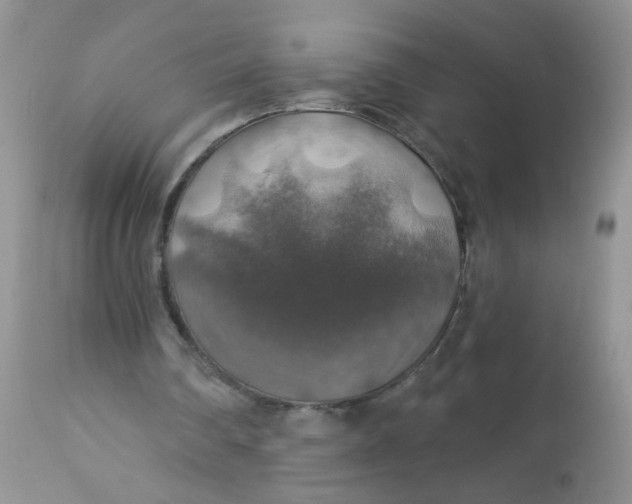 X0000113570290200910091445