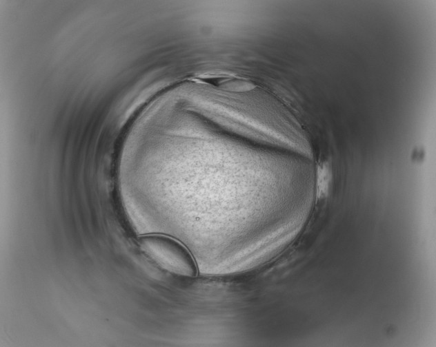 X0000113570291200910091445