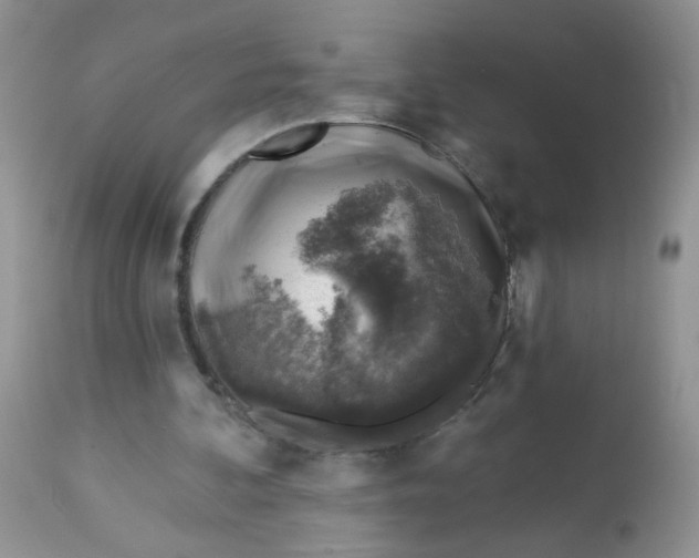 X0000113570292200910091445