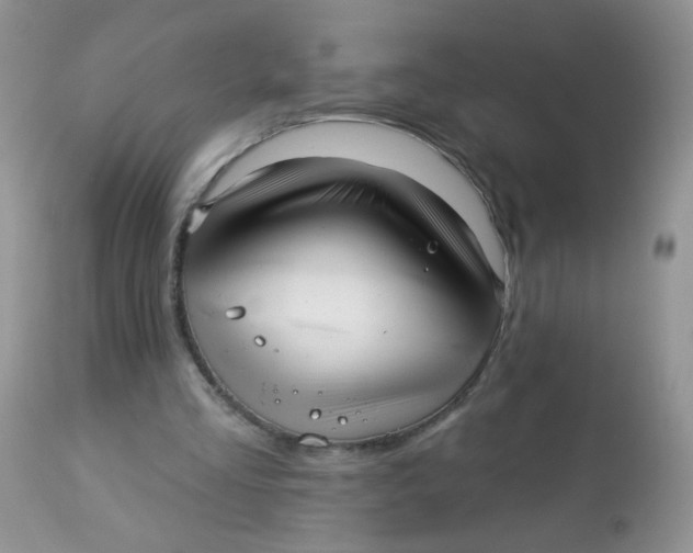 X0000113570293200910091445