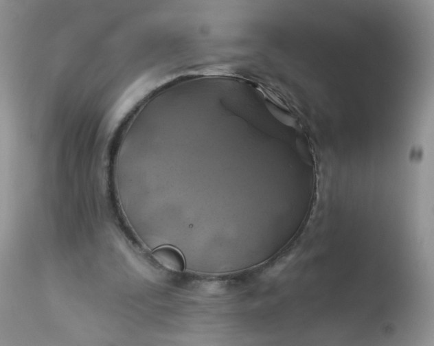 X0000113570295200910091445