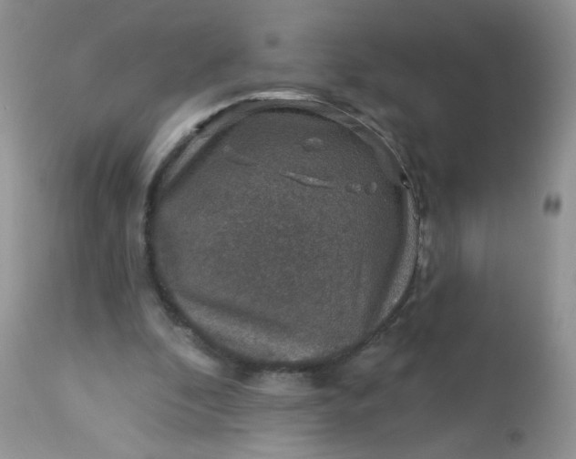 X0000113570296200910091445