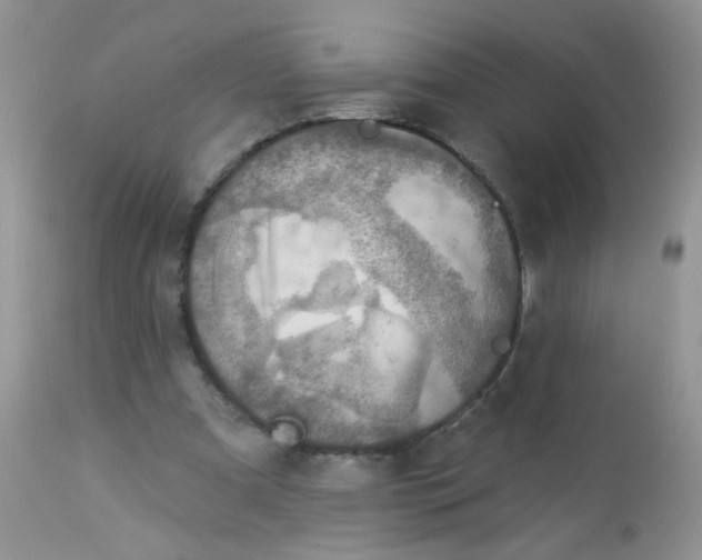 X0000113570297200910091445