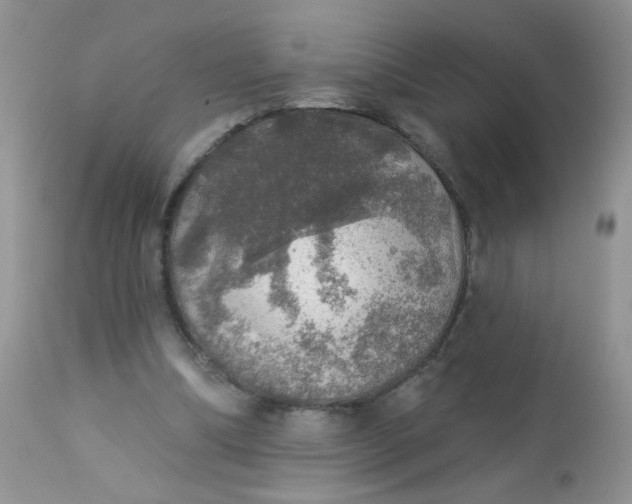 X0000113570298200910091445