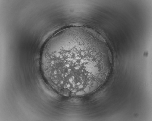 X0000113570299200910091445