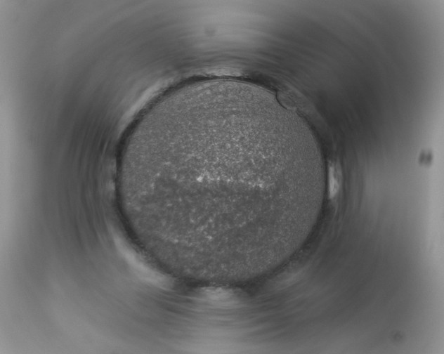 X0000113570300200910091445