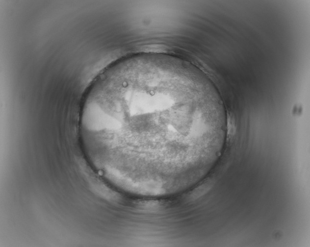 X0000113570301200910091445