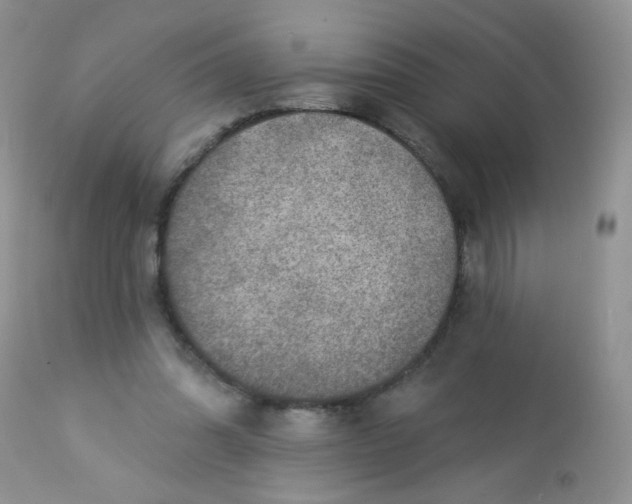 X0000113570302200910091445