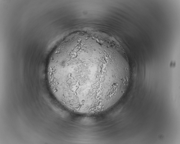 X0000113570303200910091445