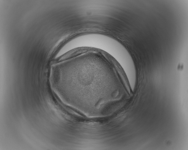 X0000113570304200910091445