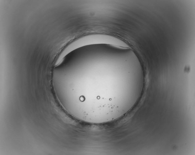 X0000113570305200910091445