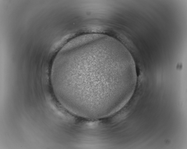 X0000113570306200910091445