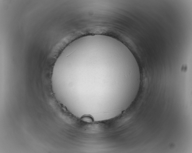 X0000113570307200910091445