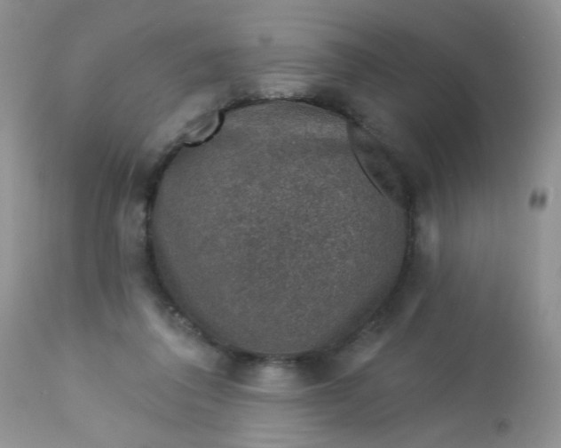 X0000113570308200910091445