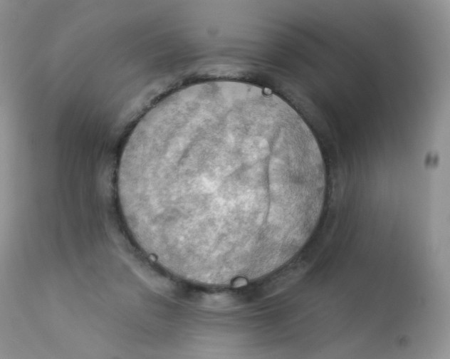 X0000113570309200910091445