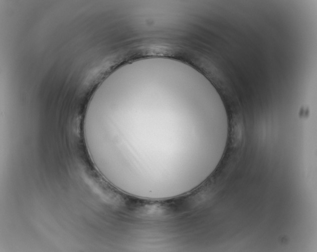 X0000113570310200910091445