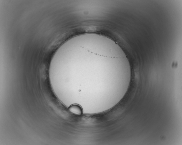 X0000113570311200910091445