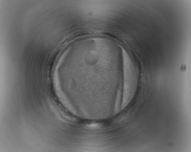 X0000113570312200910091445