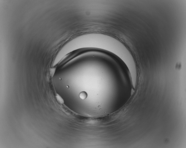 X0000113570313200910091445