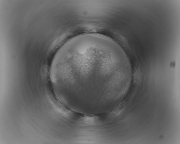 X0000113570314200910091445