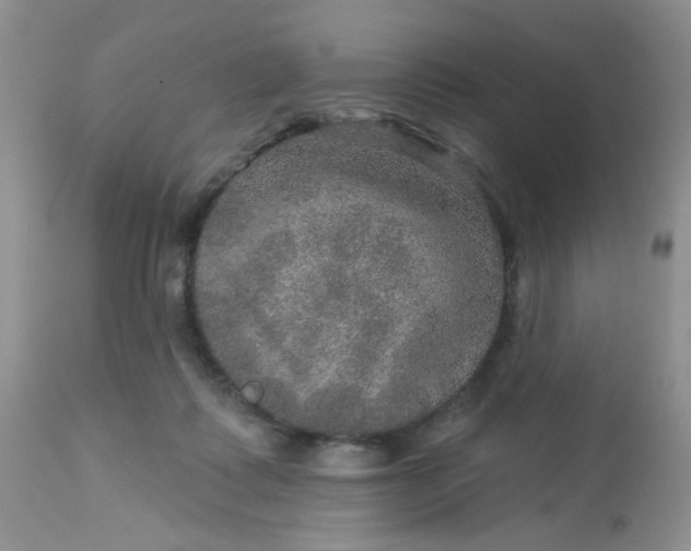 X0000113570315200910091445