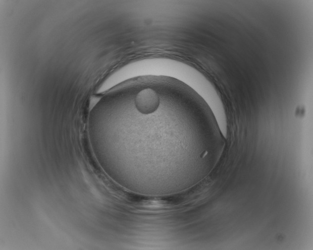 X0000113570316200910091445