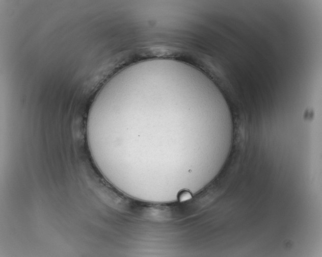 X0000113570317200910091445