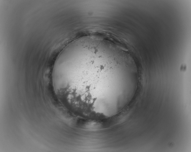 X0000113570319200910091445