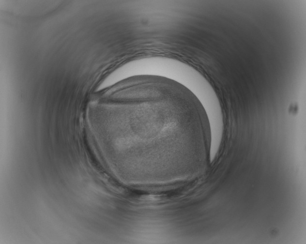 X0000113570320200910091444