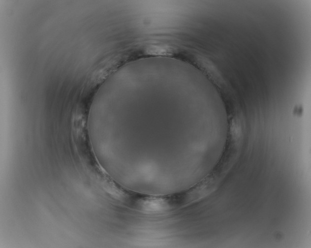 X0000113570322200910091444