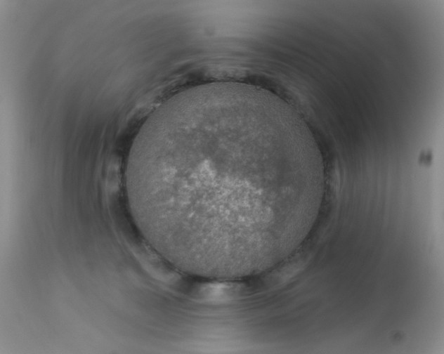 X0000113570323200910091444