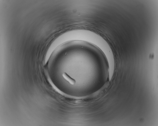 X0000113570324200910091444