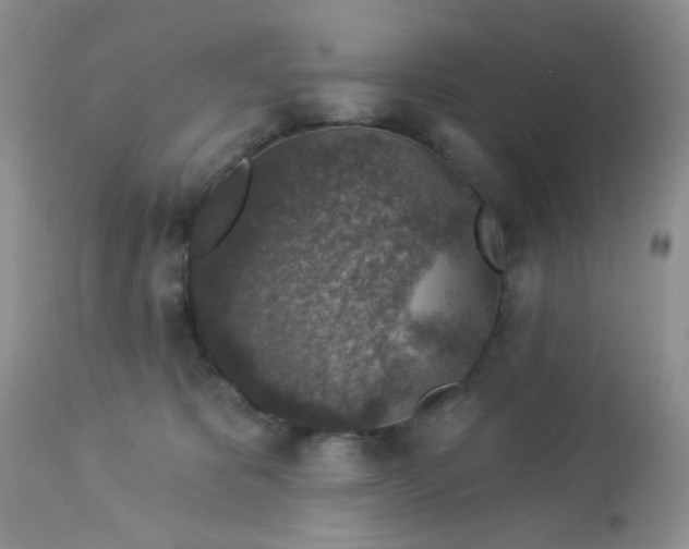 X0000113570325200910091444