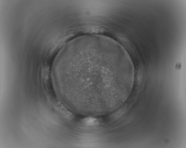 X0000113570326200910091444