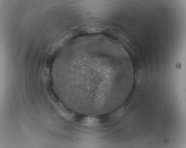 X0000113570327200910091444