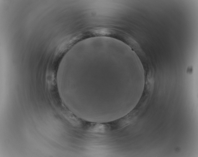 X0000113570330200910091444