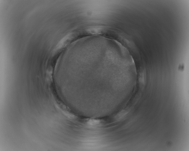 X0000113570332200910091444