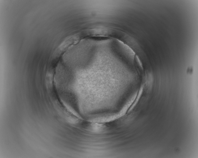 X0000113570333200910091444