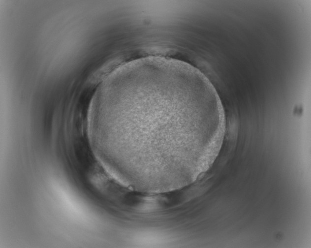 X0000113570334200910091444