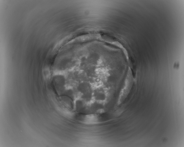 X0000113570335200910091444