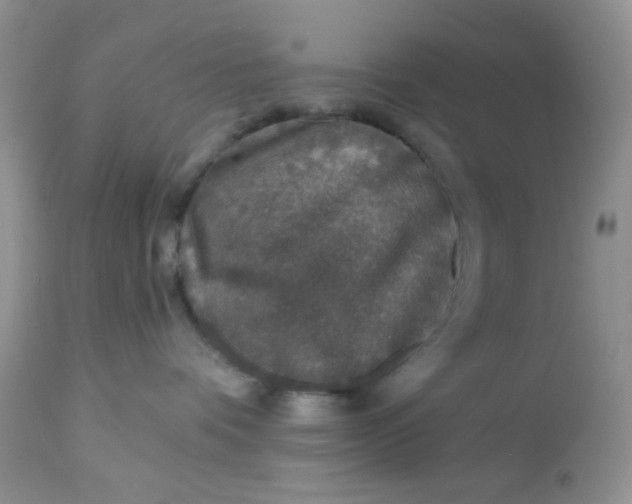 X0000113570336200910091444